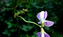 2月财路通顺的4生肖，四方迎贵人，口袋丰盈，一生衣食无忧