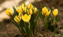 错过白羊座，你一定会后悔