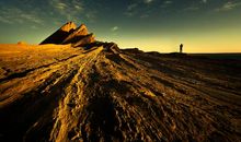 七天之后，感情里双宿双飞，深情款款，爱得最难舍难分的生肖