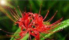 老一辈人常说，这两对生肖夫妻，不分居也不离婚，爱到百岁过到老