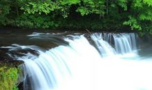 十一月底，4生肖富贵难挡，顺心如意，福多财旺