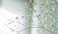 惹不起的4生肖，3月万事如意，事业一帆风顺，财运步步高升