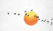 2020年11月22号是开业黄道吉日吗,农历十月初八小雪与属猪相冲