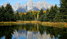 生戊戌己亥平地木相生相克，和平地木相生与大驿木命相克