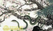 属蛇财旺的出生时辰