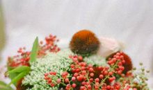 2020年农历七月和八月生肖属虎和生肖属猪结婚吉日有11天