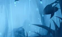 梦见森林是什么意思 预兆