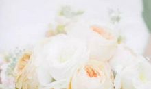 2020年农历七月和八月生肖属虎和生肖属狗结婚吉日一览表