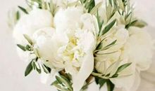 2020年农历五月,六月和七月生肖属牛和生肖属龙订婚的好日子