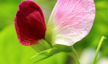 11月18号开始财运一路发，不是升官就是发财的生肖，前途无量