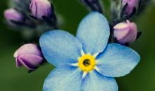 3月命中多财的4属相，精力旺盛，刚毅果断，一帆风顺，开启幸运富