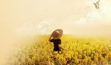 11.11－11.17周运势：天蝎座头脑清晰，白羊座会一往无前