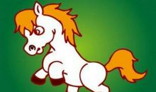 1978年属马人在2020年的运势以及运程，42岁属马人运势详解