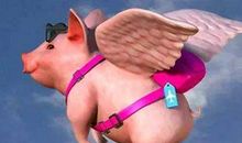 大年初一起，福多财旺，翻身走大运，运势挡不住的四生肖