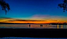 11号后，4生肖五行大旺，一路发财，天降大财