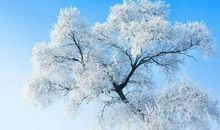 女人身上哪些地方有痣是富贵命，分别在鼻头、眼角、锁骨