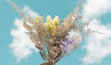 未来两个月，偏财，正财接不赢，收入水涨船高，存款加厚的星座！