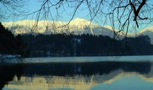 11.12生肖运势：马、羊、猴，鼠、兔、会有好运来报道