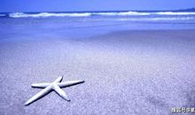 吉星拱照的5个生肖，财气横生，事业大旺，运势蒸蒸日上