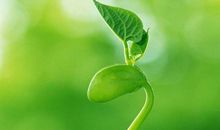 最傻最笨最不会和人相处的三大星座