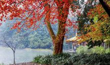 先苦后甜！这3生肖惹不起，2月踩到“狗屎运”，鼠年大富大贵！