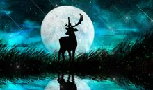 五月份时来运转，有望结束单身，桃花朵朵开的星座！