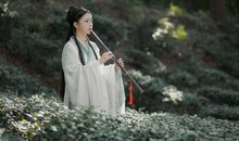 11月下旬，机缘巧合，偶遇佳人，喜结连理的三大星座