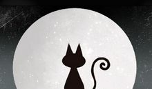 做梦被猫抓了什么意思