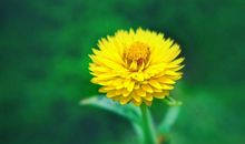 3月份财神相随，注定富贵满盈的生肖！有你吗？