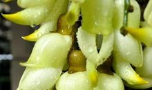 指迷居士十二生肖每日运气早预告（2020年4月1日生肖运气），附带小提示