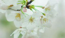 接好运！2020年这三生肖时来运转，运势紫气东来，生活锦上添花！