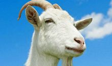 财神关照的生肖！2月贵人帮忙，日子顺心如意，事业如鱼得水