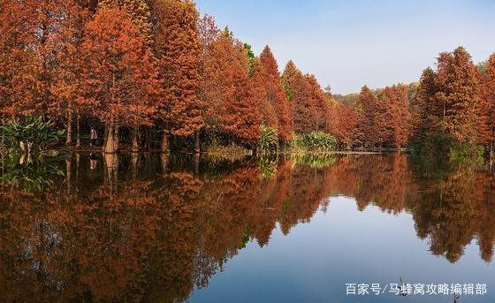 钟山风景区是“风水宝地”，蕴含了南京上千年来的历史变迁！ 2