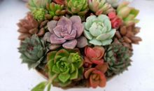 未来6个月贵人帮助，财运一路飙升，偏财运不断，四属相注定不凡