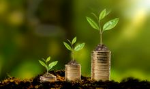 5月初起，日进斗金，钱财大赚，福及父母的四个生肖