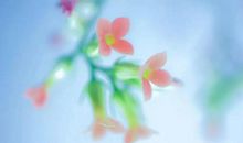 明天起，运势极旺、喜事成双，开工遇贵人，大大方方把钱赚的三生肖