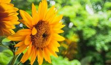 12月起大运来！行大运，顺风顺水，事业步步高升的3大生肖