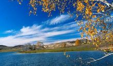 3月财神点名，事业扬帆起航，如日中天的五大生肖