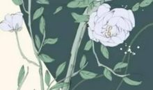 2020年12月17号出生的男孩怎么起名字，五行属什么