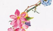 2020年3月26日三月初三生的男孩命运好吗，取什么名字运势佳