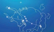 2020年4月金牛座运势，有望将友情升华爱情，运势佳