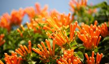 3月3号起，运势上上吉，横财如雨的4个生肖，翻身变有钱人