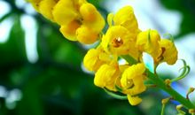 11月16号财神往家跑，财运大旺的生肖，赚的千万横财，受人尊敬