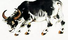 三生肖的孩子特有慧根，是块好材料，小时候成绩好，长大后做富翁