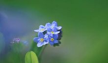 恭喜3生肖！明天开始，运势进入人生“上上签”，要暴富！