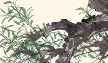 2020年农历四月初九出生的女宝宝如何取名字，鼠宝宝宜用字