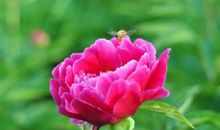 2020年开始，运势大旺，事业顺利，收获颇丰，富贵连连的星座