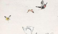 2020年农历四月初七出生的女宝宝怎么取名字，鼠宝宝宜用字