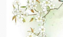 生肖属羊的妈妈和什么生肖属相的孩子是六合，羊与牛六合