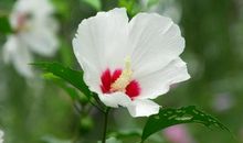 在6月份，目标明确，敢打敢拼，扬眉吐气的三大星座